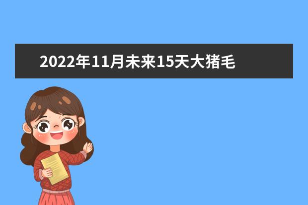 2022年11月未来15天大猪毛重价格保山会作么样?