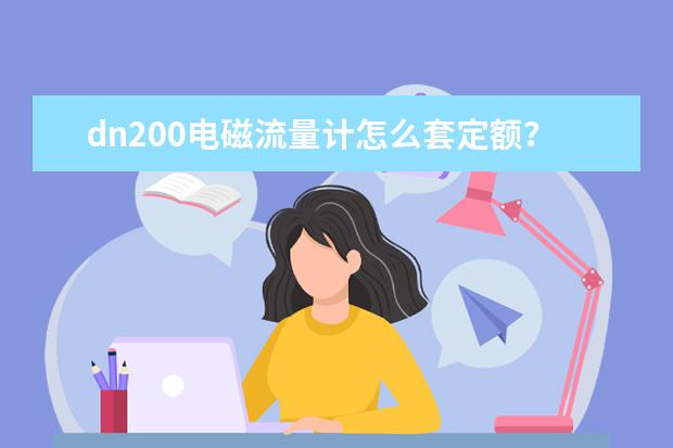 dn200电磁流量计怎么套定额？谢谢