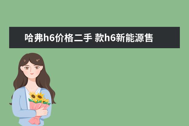 哈弗h6价格二手 款h6新能源售价15万(落地18万)