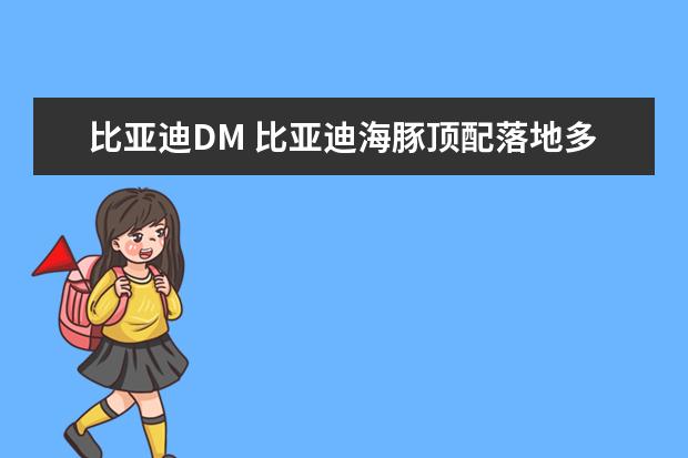 比亚迪DM 比亚迪海豚顶配落地多少钱（大概12.84万元）