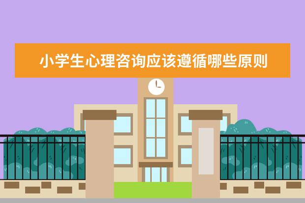 小学生心理咨询应该遵循哪些原则