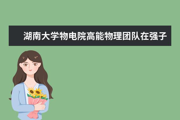 湖南大学物电院高能物理团队在强子物理等领域取得系列重要进展