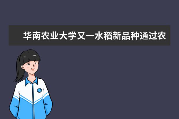 华南农业大学又一水稻新品种通过农业部超级稻验收