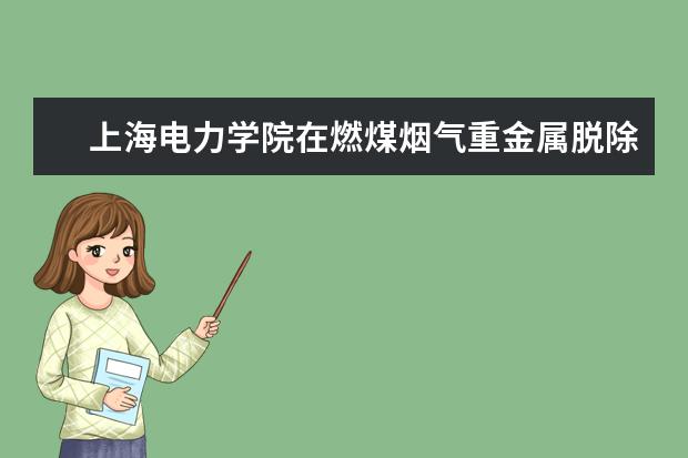 上海电力学院在燃煤烟气重金属脱除领域取得新进展