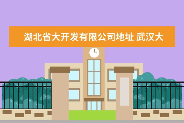 湖北省大开发有限公司地址 武汉大雍实业集团有限公司电话是多少?