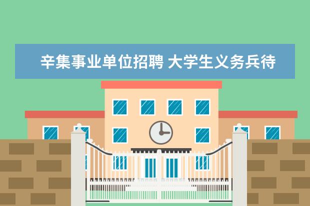 辛集事业单位招聘 大学生义务兵待遇是什么