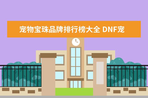 宠物宝珠品牌排行榜大全 DNF宠物附魔宝珠叫什么名字