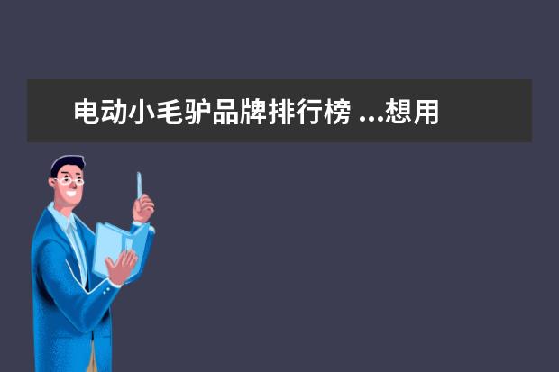 电动小毛驴品牌排行榜 ...想用一个电瓶换在24v的电机上小毛驴电动车,要用...