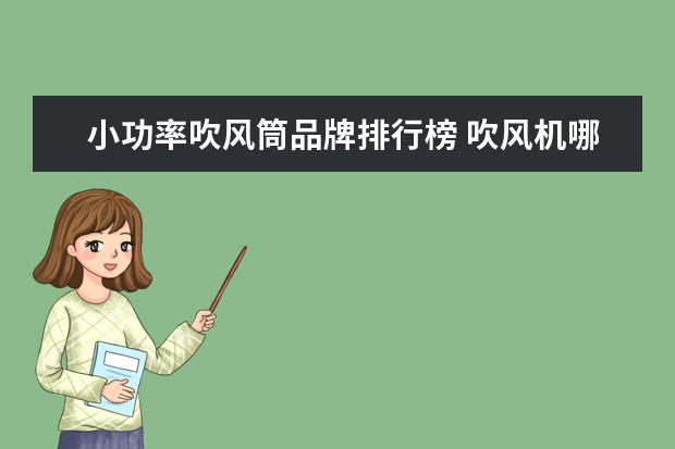 小功率吹风筒品牌排行榜 吹风机哪个牌子好?求推荐