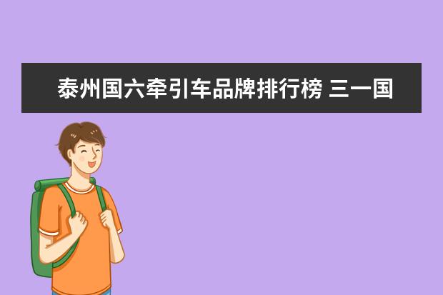 泰州国六牵引车品牌排行榜 三一国六动力、康明斯12L燃气机上榜联合卡车换脸333...