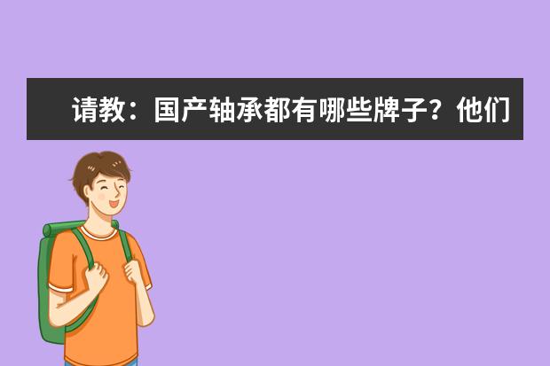 请教：国产轴承都有哪些牌子？他们的实力质量都分别怎么样？