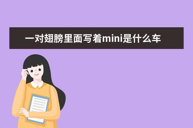 一对翅膀里面写着mini是什么车？