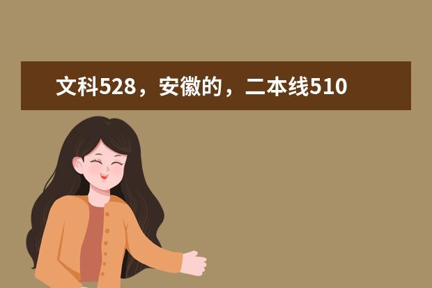 文科528，安徽的，二本线510，能上什么大学，最好不是安徽的