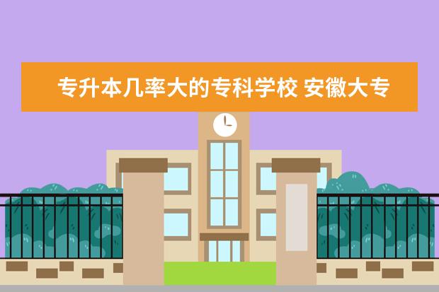 专升本几率大的专科学校 安徽大专专升本率排名